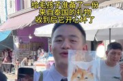 小狗的准备工作（为你的新成员做好准备）