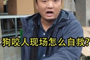狗为什么会看人打架？（探究狗对人类争斗的行为和动机）