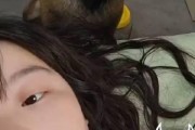 狗狗吃药需要持续多久？（了解药物治疗期限与关键因素）