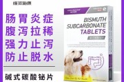 狗狗呕吐不止的原因及治疗方法（了解为什么狗狗会持续呕吐，以及该如何治疗）
