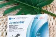 金毛宠物驱虫药选择指南（为您的金毛提供最佳驱虫解决方案）