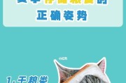 科学喂养金毛幼犬，健康成长（关注6点细节，让金毛幼犬远离健康问题）