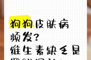 如何为狗狗补充维生素来治疗皮肤病？（了解适用于狗狗皮肤病的关键维生素以及其作用）