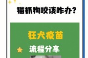 宠物狗狗的疫苗接种指南（关于狗狗疫苗接种的必备知识）