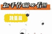 猫身上的跳蚤（解决猫咪身上跳蚤问题的有效方法）