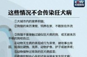 小狗打完针后可能出现的不良反应（认识小狗接种疫苗后的常见不良反应及处理方法）