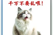 七个月大的猫应该吃什么水果？（了解猫咪饮食需求，让它更健康！）