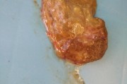 金毛拉稀，为何要禁食？（金毛拉稀原因及禁食的关键）