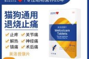 狗狗发烧，如何正确喂食？（狗狗发烧饮食注意事项及适合食物推荐）