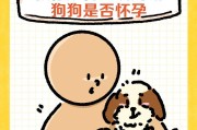 探秘狗狗怀孕初期症状（揭开狗狗宝宝细微变化的奥秘）
