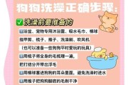狗狗跑了多久才能洗澡？（探讨洗澡时间和频率的最佳实践）