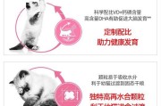 猫咪多久不用泡奶糕？（了解猫咪是否需要泡奶糕及合适的喂食时间间隔）