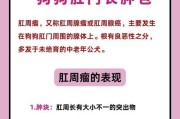 泰迪狗的肛门腺挤压频率及注意事项（了解泰迪狗肛门腺挤压的重要性及正确操作方法）