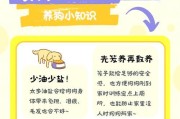 泰迪喂食指南——个体调整与日常饮食安排（个体需求和健康状况决定，合理安排饮食是关键）