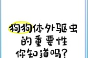 狗狗驱虫（揭开狗狗驱虫错误认知，了解正确的防治方法）
