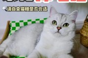 猫咪的饮食习惯（保持营养均衡与兴趣引导的平衡关系）