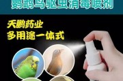 柠檬汁可以给鹦鹉驱虫吗？（一种天然有效的鸟类驱虫方法）