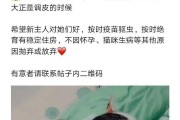 疫苗保护下，多久可以安全绝育？（以打好疫苗为基础，绝育时机何时适宜？）