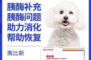 狗狗的维生素需求与补充方法（了解狗狗的维生素需求，让它们健康快乐成长）