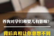 孕妇受狗病毒影响的健康注意事项（保护孕妇免受狗病毒感染的关键措施）