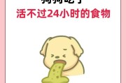 狗不能吃的食物（了解宠物狗不能食用的食物清单，保护爱宠健康）