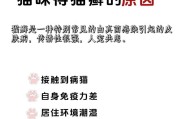 猫藓（了解猫藓的治疗方法及费用，保护宠物健康）