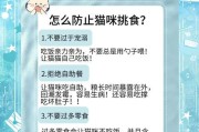 猫咪营养膏的使用频率及（为什么要控制猫咪营养膏的使用频率？）