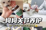 比熊肉垫的健康判断与清洁护理指南（如何确保比熊肉垫的健康与长久使用？）