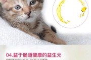 猫咪怀孕需要加营养的重要性（了解猫咪怀孕的营养需求，给予适当的营养补充）