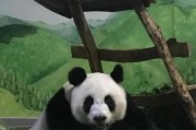 大熊猫是熊吗？揭开大熊猫所属物种之谜（大熊猫属于哪个物种？大熊猫的分类和特征一览）