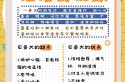 巴哥犬养护指南（如何合理饲养巴哥犬，让它健康快乐成长）
