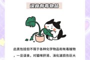 猫咪拉稀不可大意，生命可悬一线（提醒猫主人注意猫咪拉稀的严重性及处理方法）