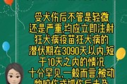 狗疫苗（宠物狗的预防注射是什么？如何保护我们的狗免受疾病的侵害？）
