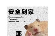 仓鼠舒适生活的垫料选择（为你的仓鼠提供理想的居住环境）