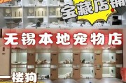 比熊犬的价格指南（了解比熊犬的市场行情及其衍生费用）