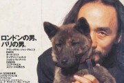 秋田犬为什么爱打架？（探寻秋田犬好斗本能的原因）