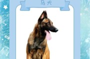 了解警犬的多样种类与特点（探索警犬世界的不同品种及其功能）