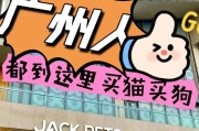 如何选择适合自己的狗狗？（买什么品种的狗狗最好？）