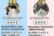 第一次养猫，你需要购买什么？（养猫必备用品一览）