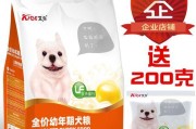 以泰迪狗什么时候吃狗粮？（了解适宜的喂食时间和频率，让泰迪健康成长。）