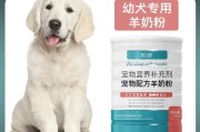 养一只拉布拉多花销大盘点（养一只拉布拉多的花销都有哪些？从购买到日常开销，一起来看看！）