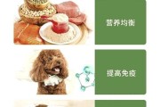 狗狗吃狗粮搭配辅食的正确方式（健康饮食为狗狗增添滋味）