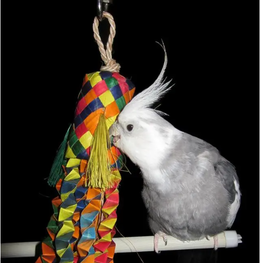 image.png